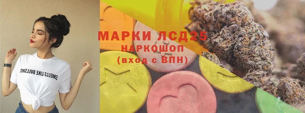 ГАЛЛЮЦИНОГЕННЫЕ ГРИБЫ Балабаново